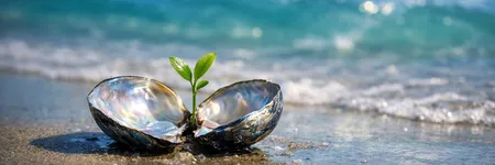 Ce que le Poissons doit désapprendre pour évoluer ♓🌱