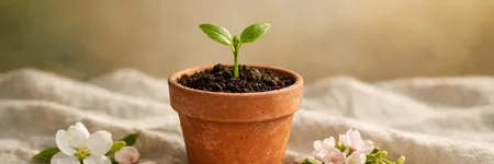 Ce que le Taureau doit désapprendre pour évoluer ♉🌱