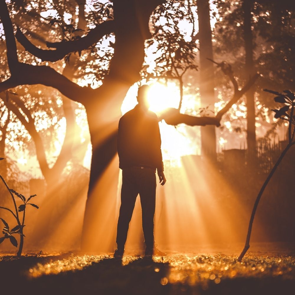 Qu’est-ce que la triade lumineuse de la personnalité ?